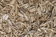 biomass boilers Toberonochy